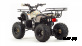 Квадроцикл MOTOLAND (МОТОЛЕНД) 150 FOX