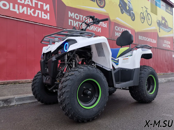 Квадроцикл PROMAX RENEGADE 280 (2025)