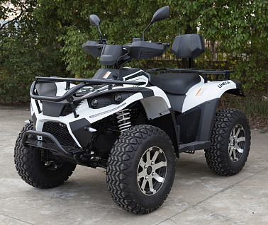 Электроквадроцикл SIMARGL ELEKTRO Linhai LH40DA