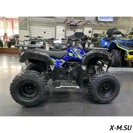 Квадроцикл IRIDE WOLF 200