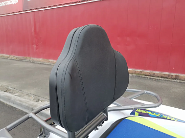 Квадроцикл PROMAX RENEGADE 280 LUX (2025)