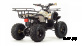 Квадроцикл MOTOLAND (МОТОЛЕНД) 150 FOX